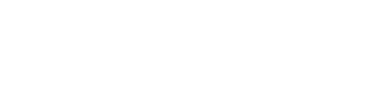 biznestlogo